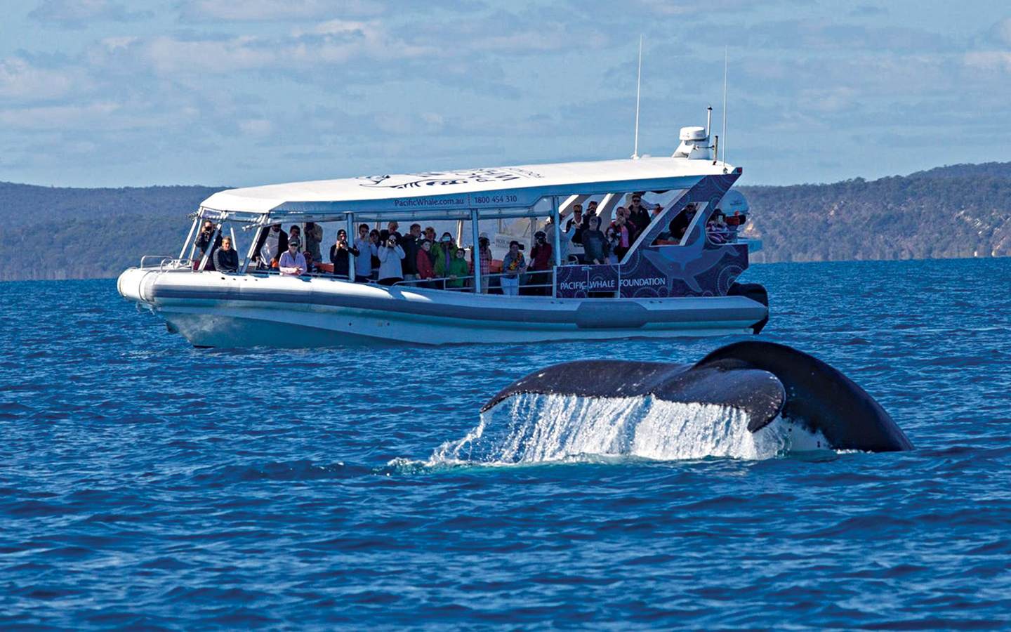 Wildlife Experience in Australia