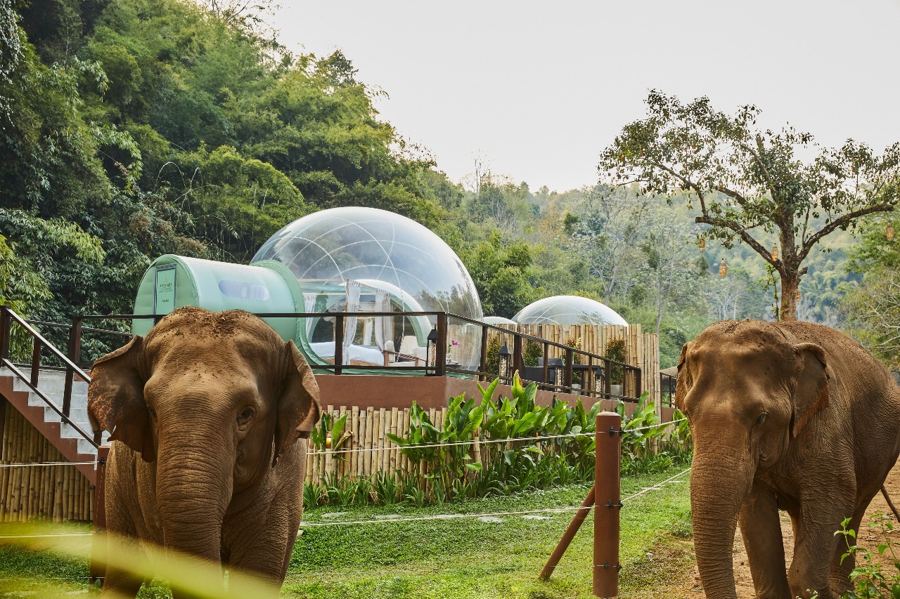 Anantara Golden Triangle Elephant Camp & Resort: Discover The Golden Triangle In Style And In Depth 