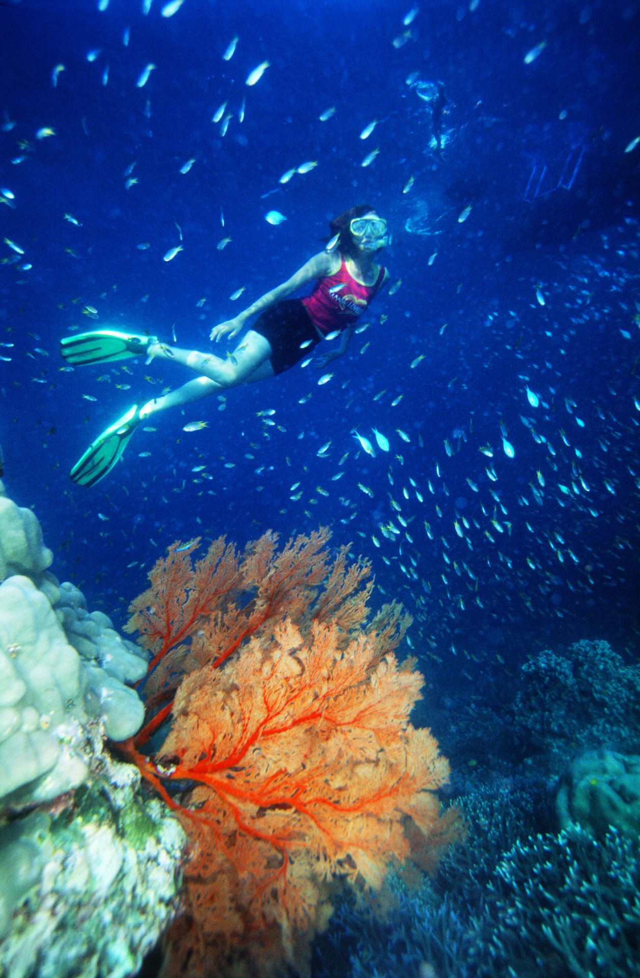 Diving in Phang-Nga