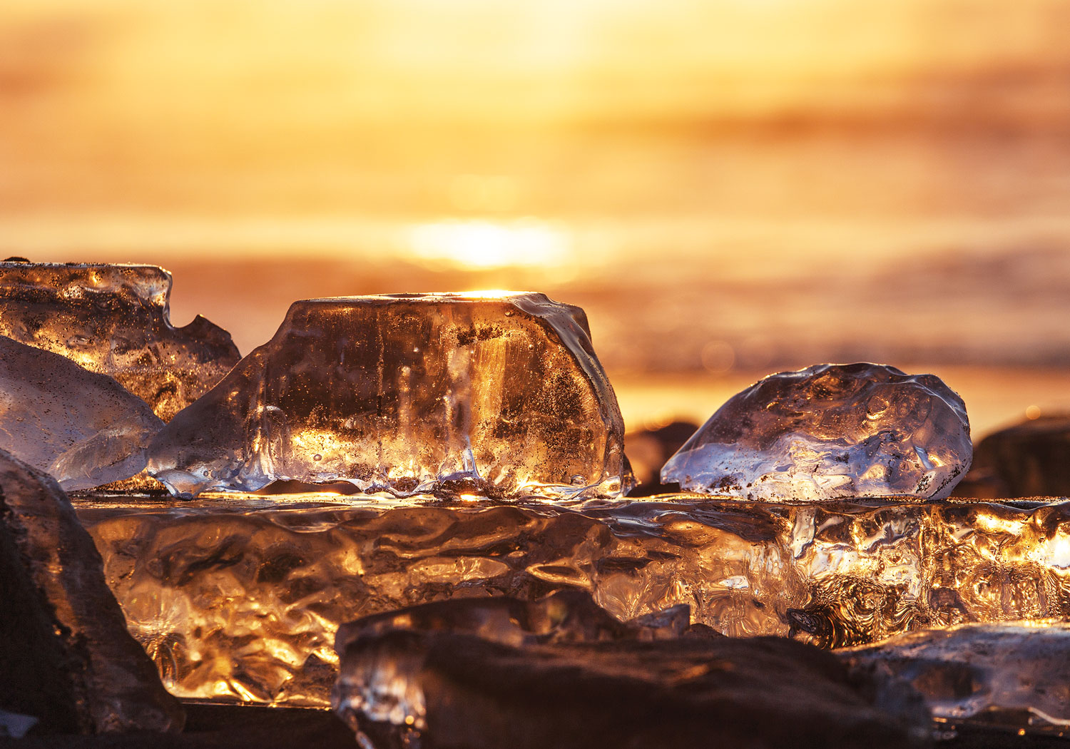 Glittering Jewelry Ice at Toyokoro