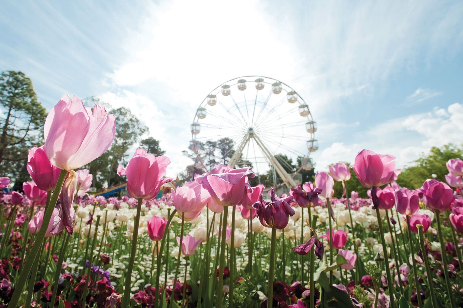 Australia’s Seasonal Nature Experiences 