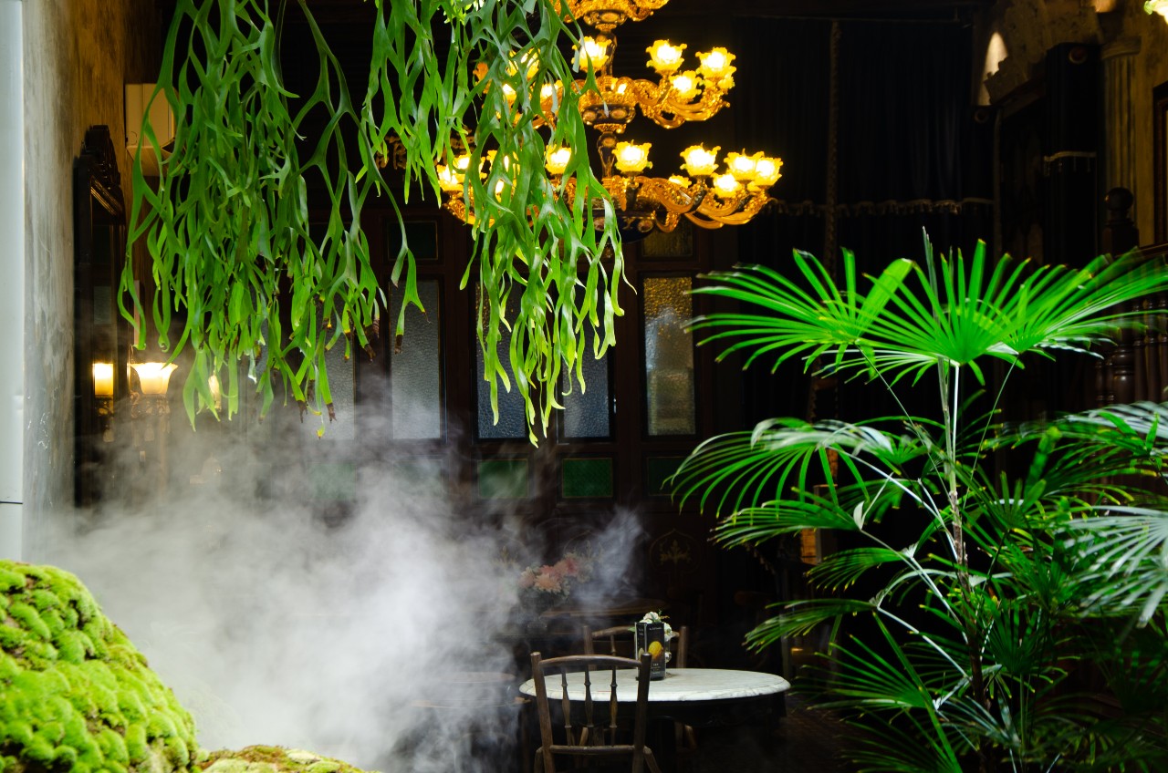  Bao Teck Tea House: Charming and Impressive Old Time Favourites 