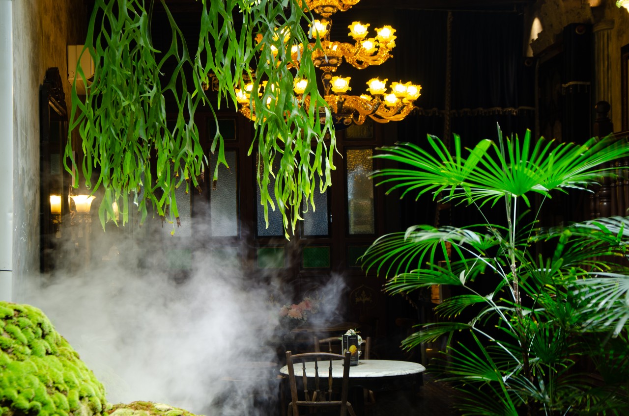  Bao Teck Tea House: Charming and Impressive Old Time Favourites 