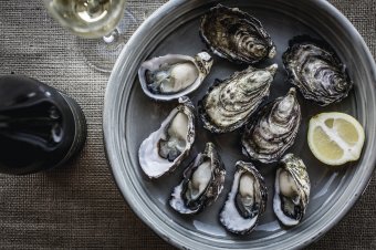 Bangor Wine & Oyster Shed ©Tourism Tasmania/ Adam Gibson 