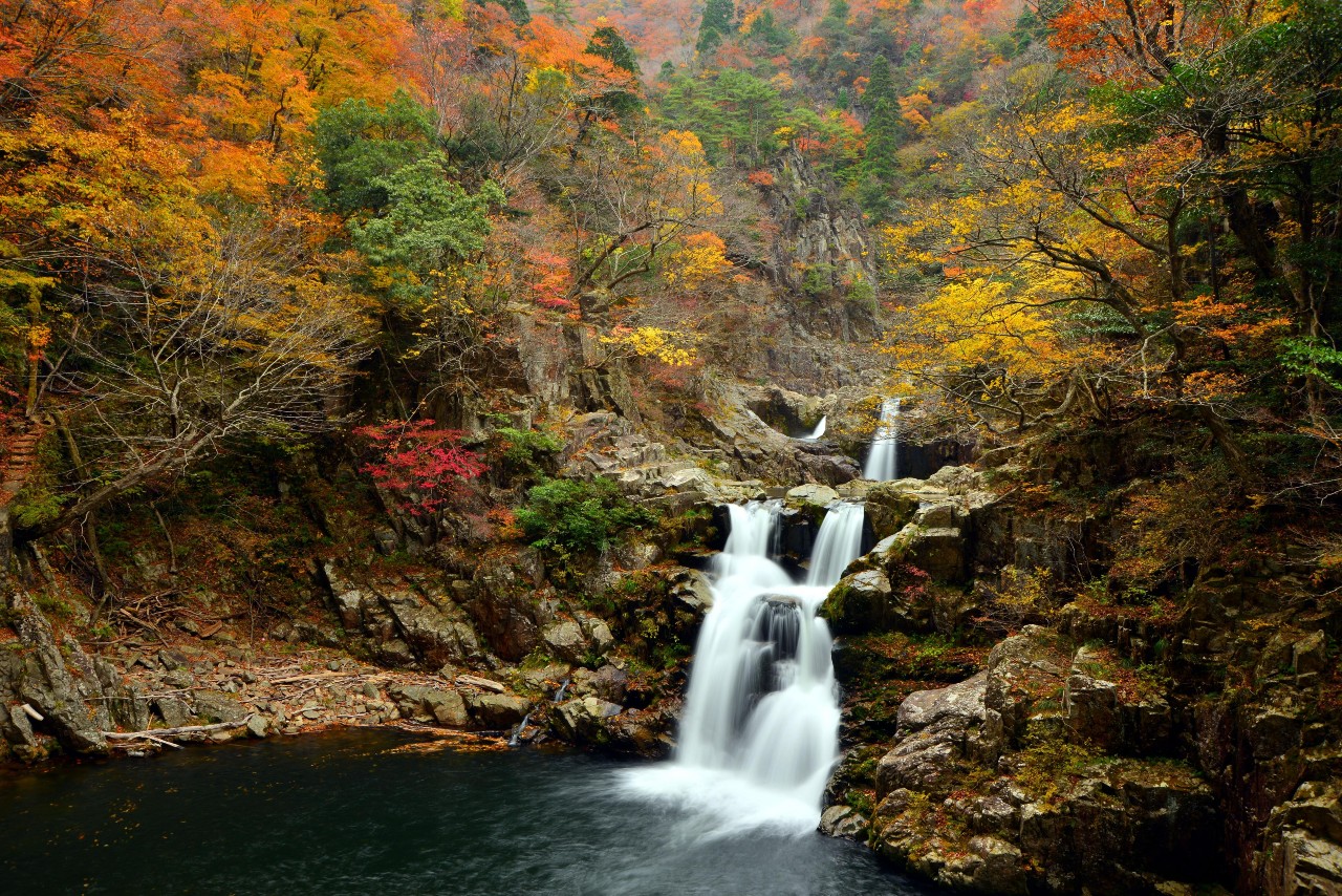 Relaxing Walk in Refreshing Nature of Hiroshima Prefecture