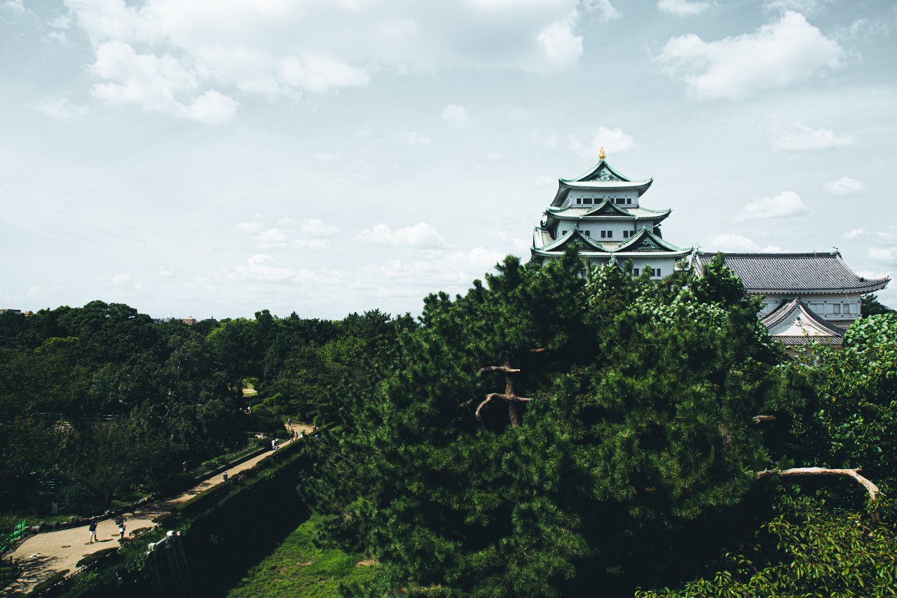 Photo credits: Ryunosuke-kikuno@unsplash