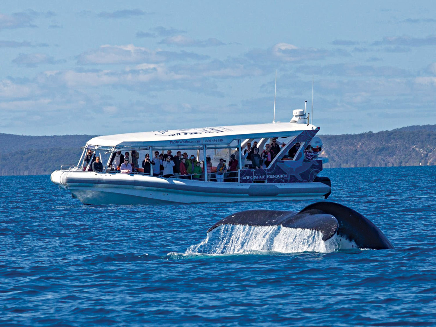 Wildlife Experience in Australia