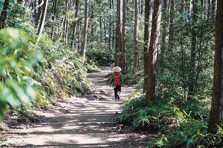 Kumano Kodo ©Tanabe City Tourism Promotion Division