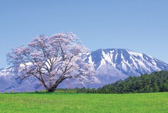 Koiwai Farm, IWATE