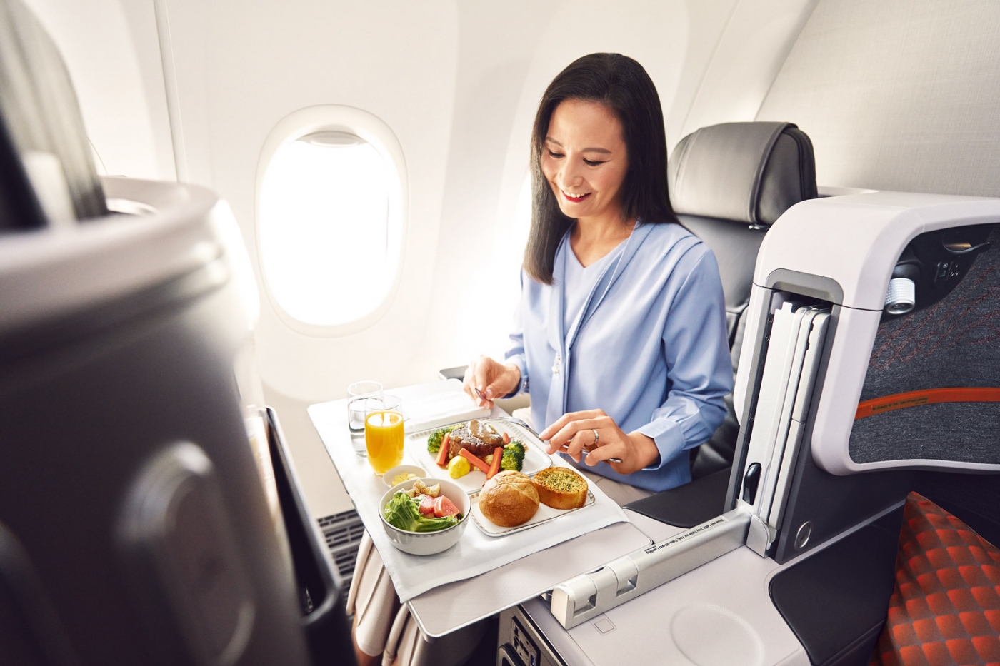 737-8 Business Class-Passenger meal