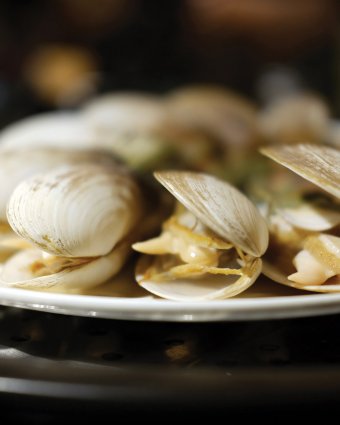 Steamed Clams