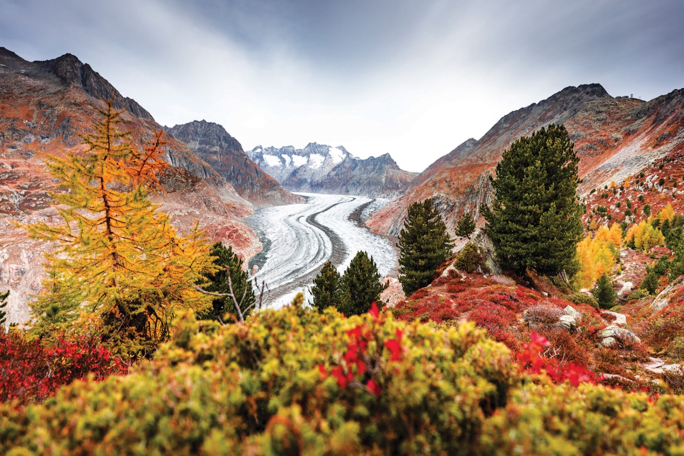 Aletsch