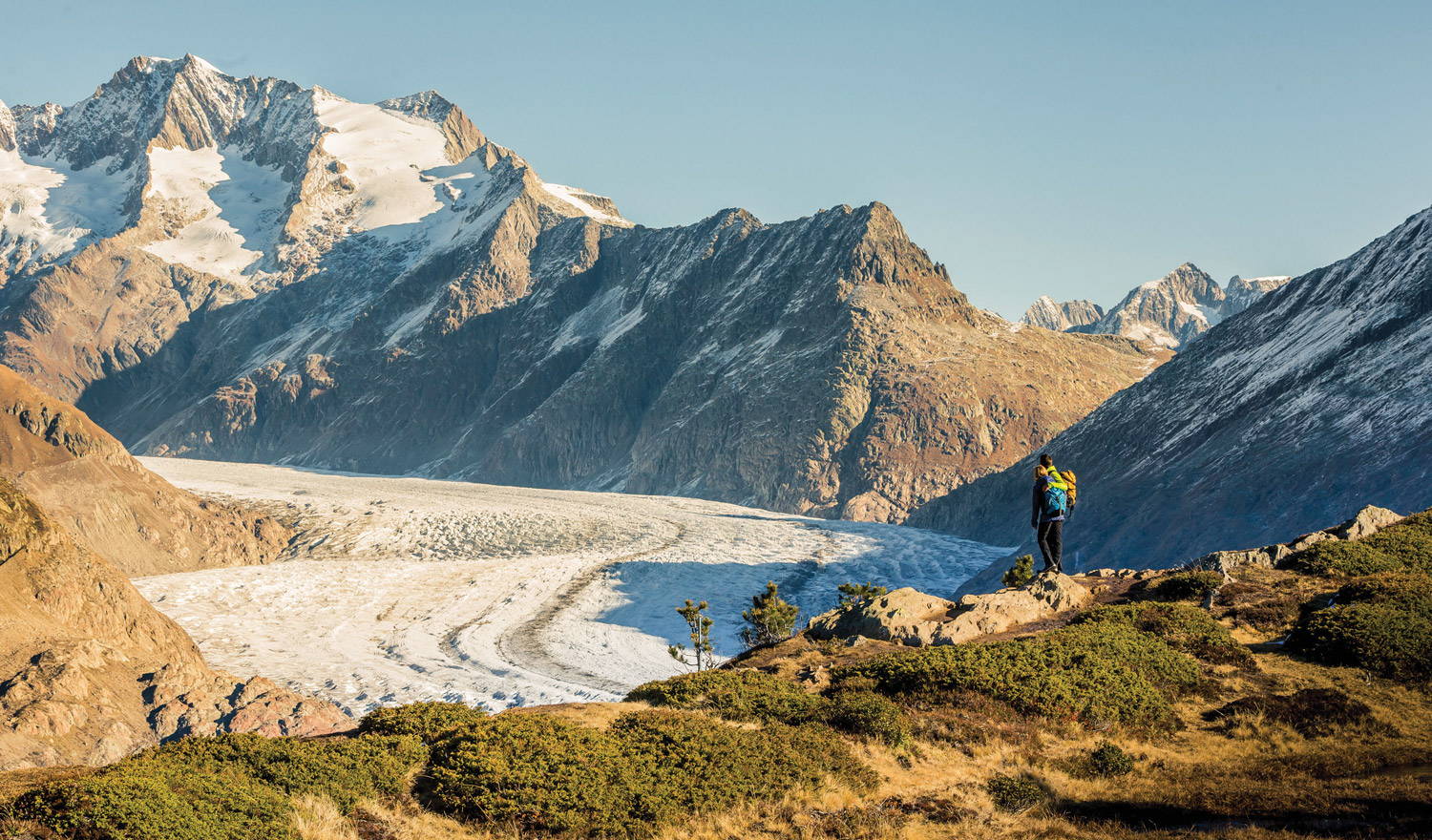 Matterhorn: Peak in the Meadows