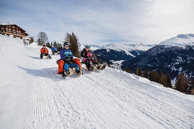 Sledge and Toboggan Fun