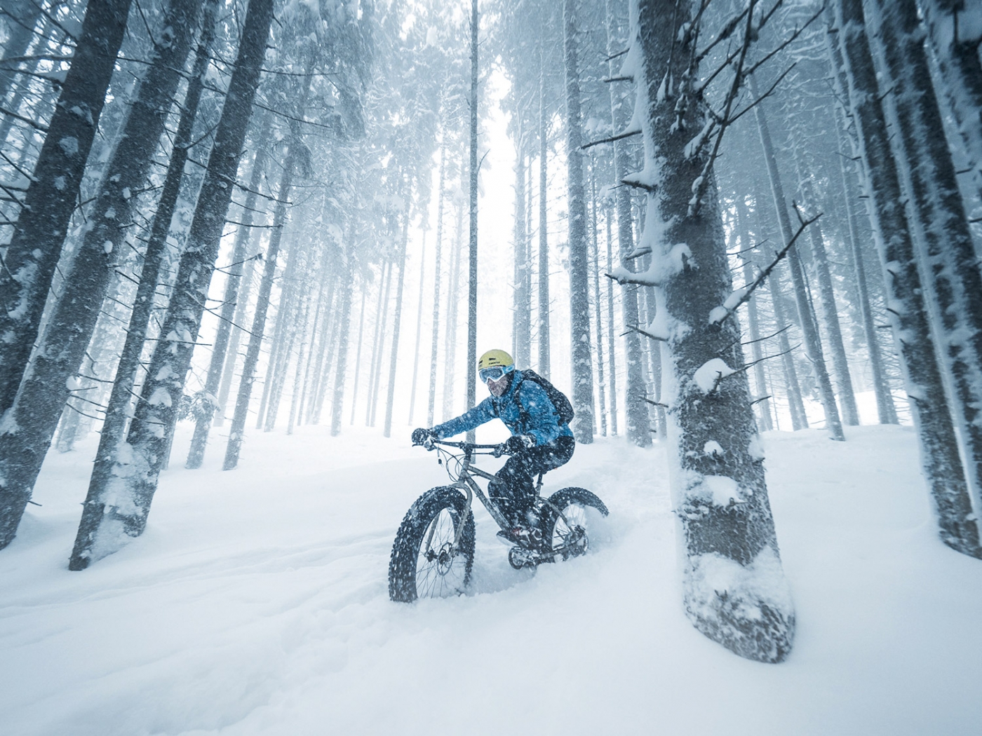 Fatbike © Seya Eggler