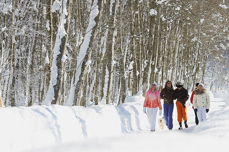 Winter wandern © StefanSchlumpf