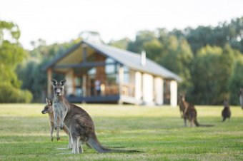 Yering Gorge Cottages