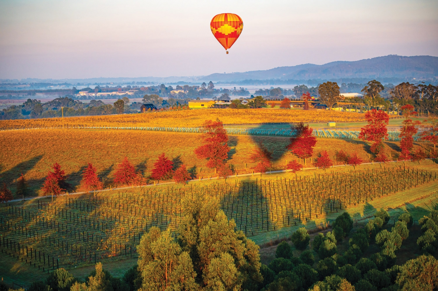 Hot Air Ballooning, Yarra Valley