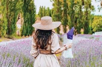 Warratina Lavender Farm