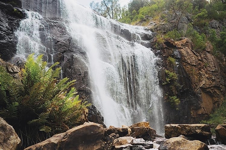 Mikunung wira (MacKenzie Falls), Northern Grampians