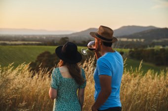 Grampians Wine Region