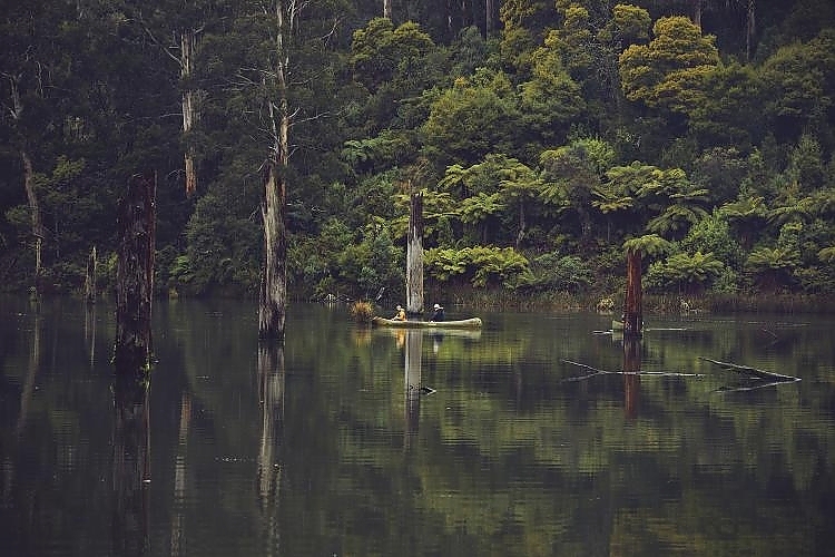 Lake Elizabeth, Great Otway National Park