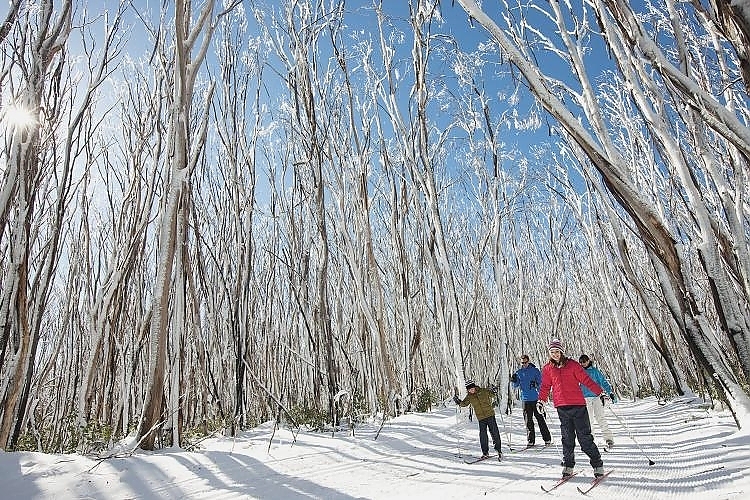 Snowshoeing