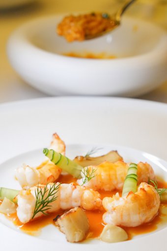 Langoustines, artichoke, fennel, carrot and shrimp paste risotto