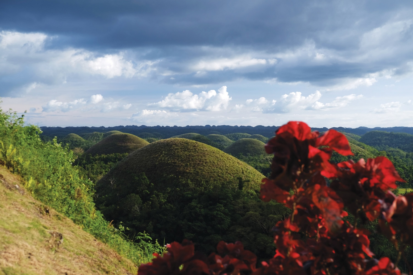 Chocolate Hills