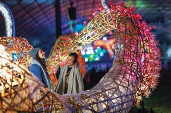 Rising 2022 - The Wilds at Sidney Myer Music Bowl