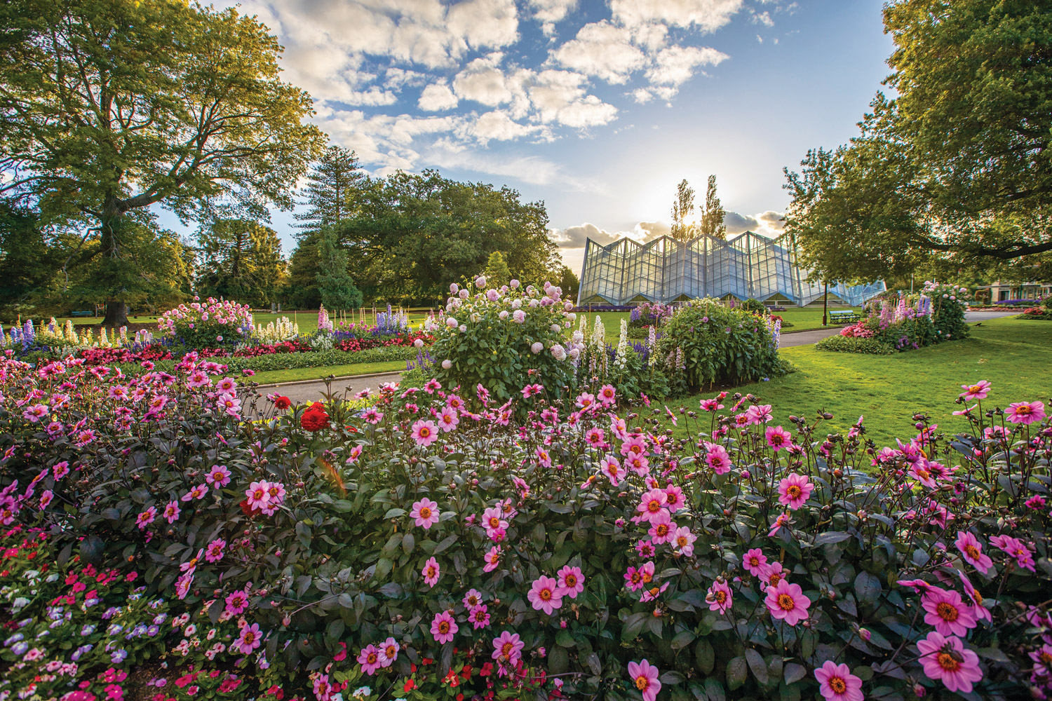 Melbourne Moments: Magical Moments in Spring