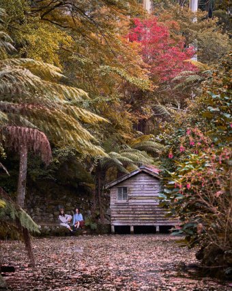 Alfred Nicholas Memorial Garden