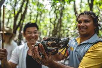 Hunting for bush tucker in the mangroves © Tourism and Events Queensland