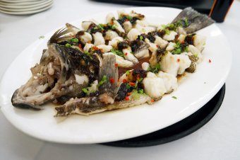 Steamed Grouper Fillet with 3 Kinds of Fermented Bean Paste