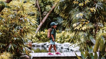 Junior Naturalist
