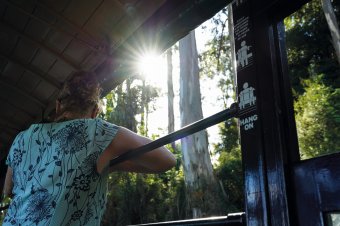 Puffing Billy Railway