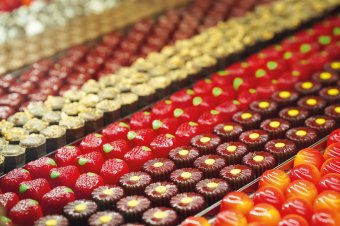 Yarra Valley Chocolaterie & Ice Creamery