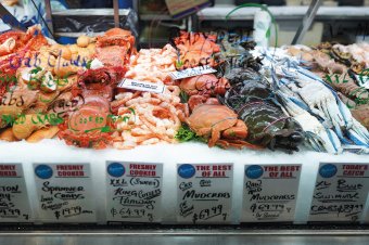 Seafood