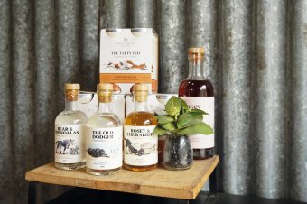 The Whiskery