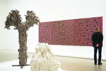 The Charm of the Art Gallery