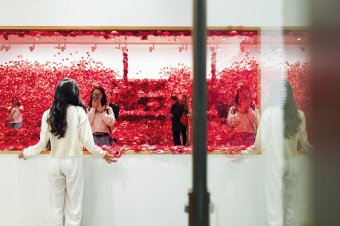 Flower Obsession
