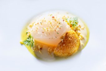 Cured scallop | Smoked hollandaise | Orange | Chervil