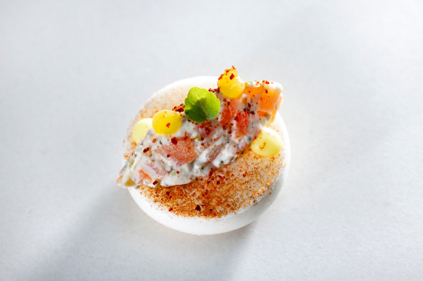 Tomato illusion macaron | Trout tartare