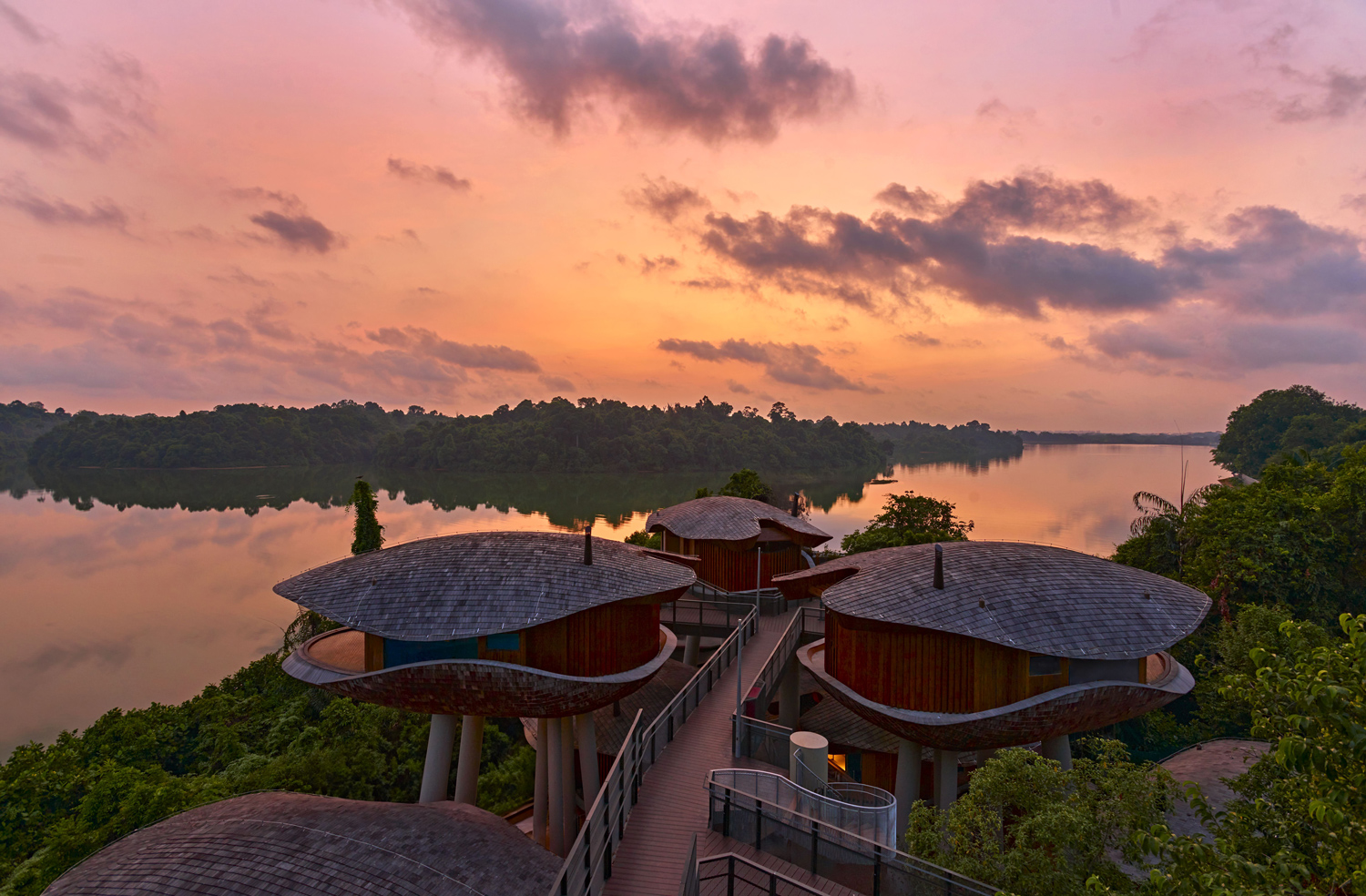 Mandai Rainforest Resort by Banyan Tree: Luxurious Secrets in the Rainforest