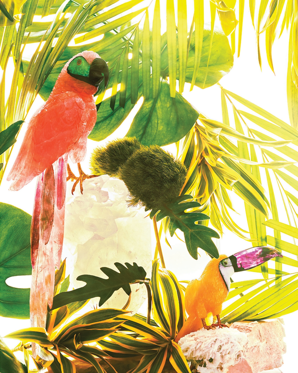 Tropical GARDEN 风情万种 / Photograph by: Micky Wong | Creative Direction by: Im Ng