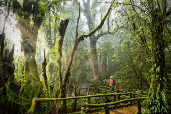 Chiang Mai-Ang Ka Nature Trail-Doi Inthanon National Park