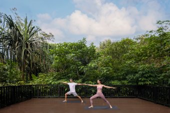 Yoga Session