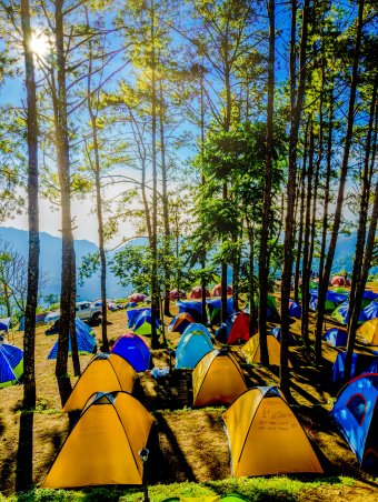 Chiang Mai-Campsite