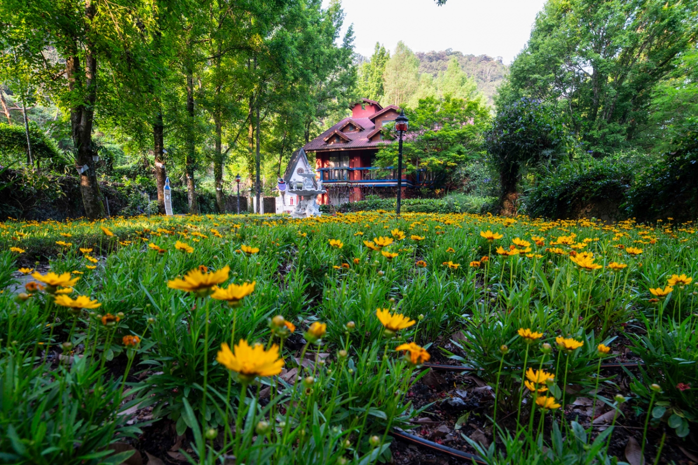 南投台一生态休闲农场 Nantou's Tai-Yi Ecological Leisure Farm