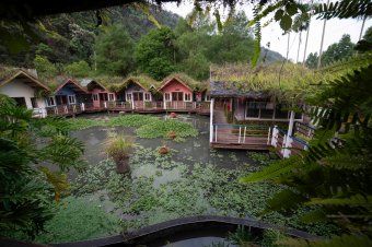 度假屋 Holiday cabins
